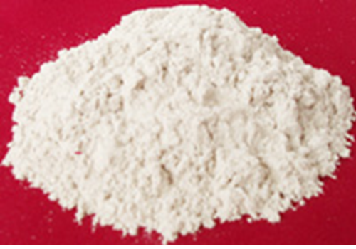 Diatomite Mining in China