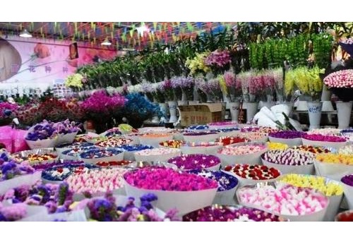 Kunming Flower and Bird Market--Yunnan