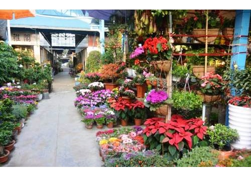 Guangzhou Yuehe Flower and Bird Market 
