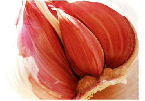 Introduction of Chinese Garlic Industry