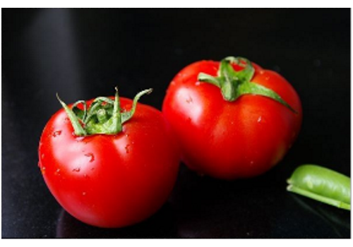 Introduction of Chinese Tomato Industry