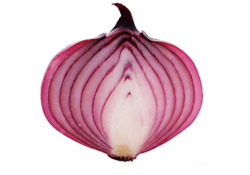 Introduction of Chinese Onions Industry