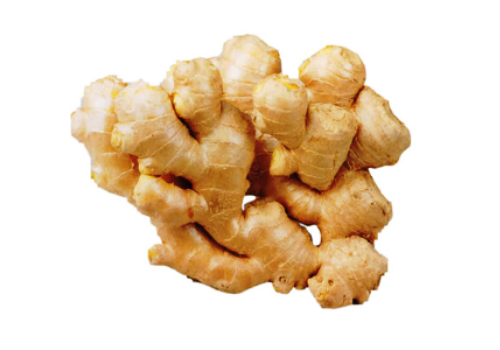 Introduction of Chinese Ginger Industry