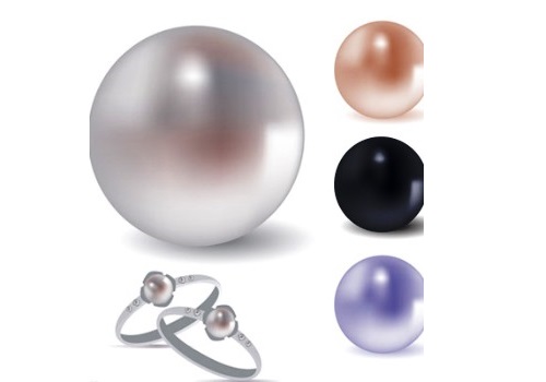 Introduction of China Pearl Industy