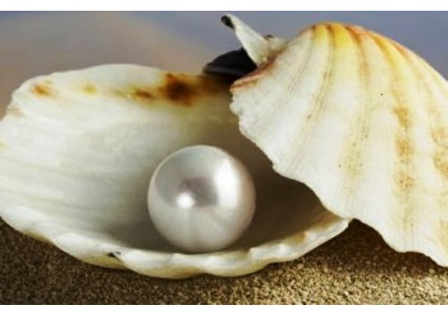 Jiangsu Wei Tang: the Pearl of China