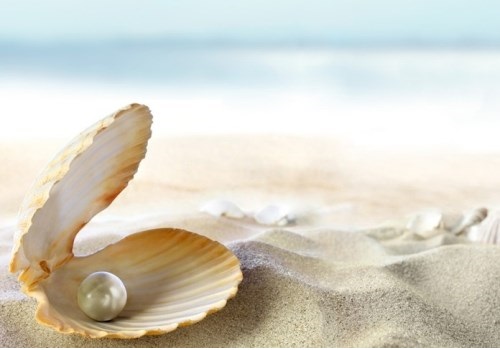 Guangdong Zhanjiang Pearl Farming Base