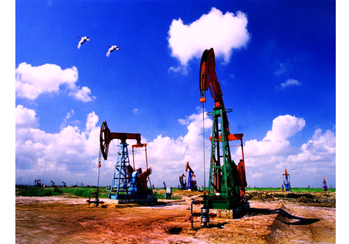 Xinjiang Oil Province