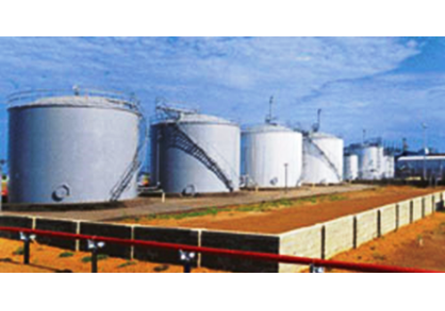 Strategies for Natural Gas  