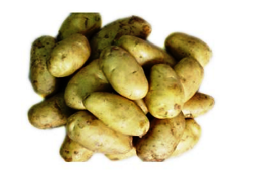 Potato Town of China--Dingxi, Gansu