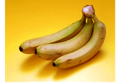 Introduction of Chinese Banana Industry