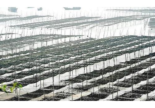 Zhoushan Fishery--The Largest Fishery in China