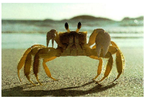 Hongze Lake Crab Breeding Base--Jiangsu