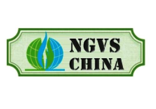 NGVS China 2020 ( 6.4 - 6 )